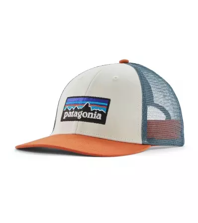 Patagonia P-6 Logo LoPro Trucker Hat