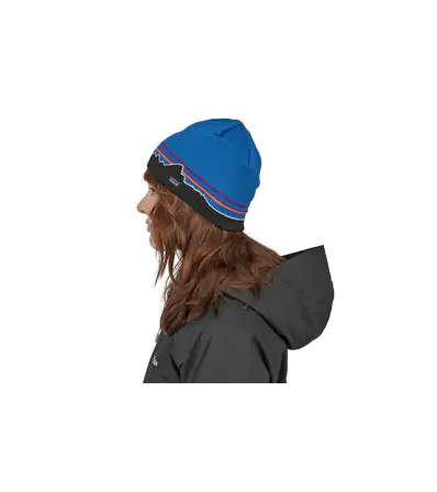 Patagonia Beanie Hat