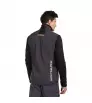 Direct Alpine Vest Element 1.0 M's