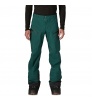 Patagonia Powslayer Pants M's
